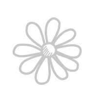 camomilla